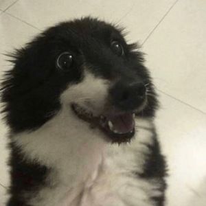 Meet your Posher, Mya